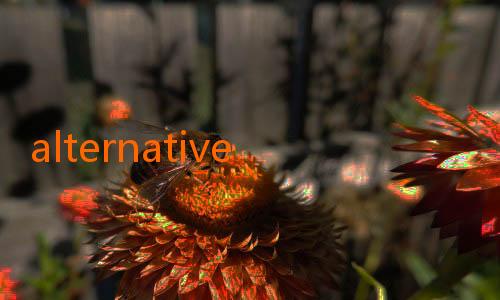 alternative nowgoal-Celtics Siapkan Rotasi Pemain Lebih Fleksibel