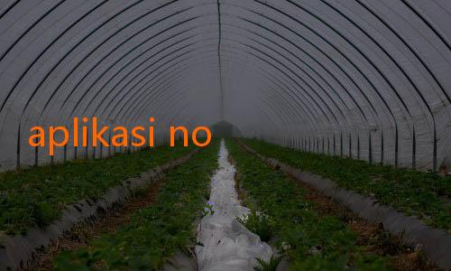 aplikasi nowgoal-Prediksi Boston Celtics vs Miami Heat: Siapa yang Lebih Kuat?