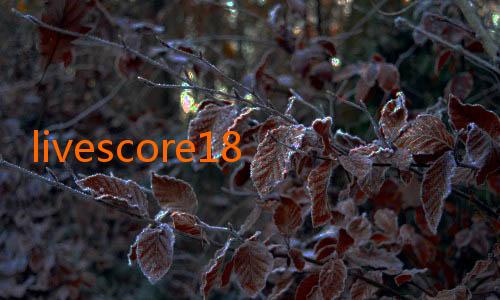 livescore18 goaloo nowgoal-Menyelami Dunia Jalalive 38: Hiburan Interaktif yang Mengubah Cara Kita Menikmati Konten