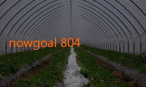 nowgoal 804-Jalalive Tinju: Kisah Ring, Nafas, dan Harapan