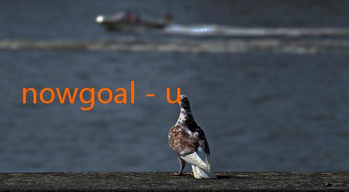 nowgoal - unogoal-Jokic Tak Terhentikan di Lini Tengah Denver: Keajaiban Playmaker yang Menginspirasi