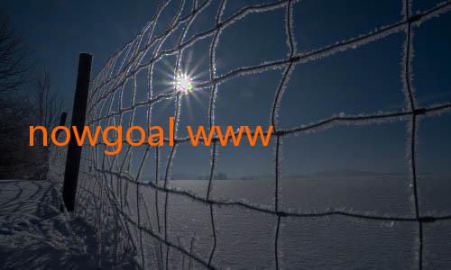 nowgoal www-Menyelami Dunia Prediksi dan Hiburan Sepak Bola lewat Nowgoal 828