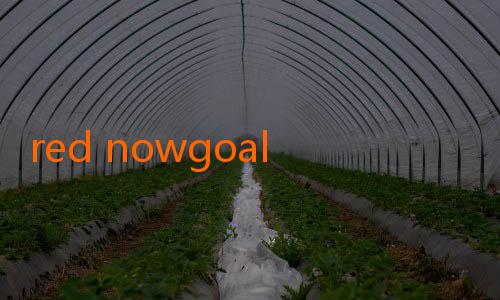 red nowgoal-Manchester United Cari Momentum Positif di Old Trafford